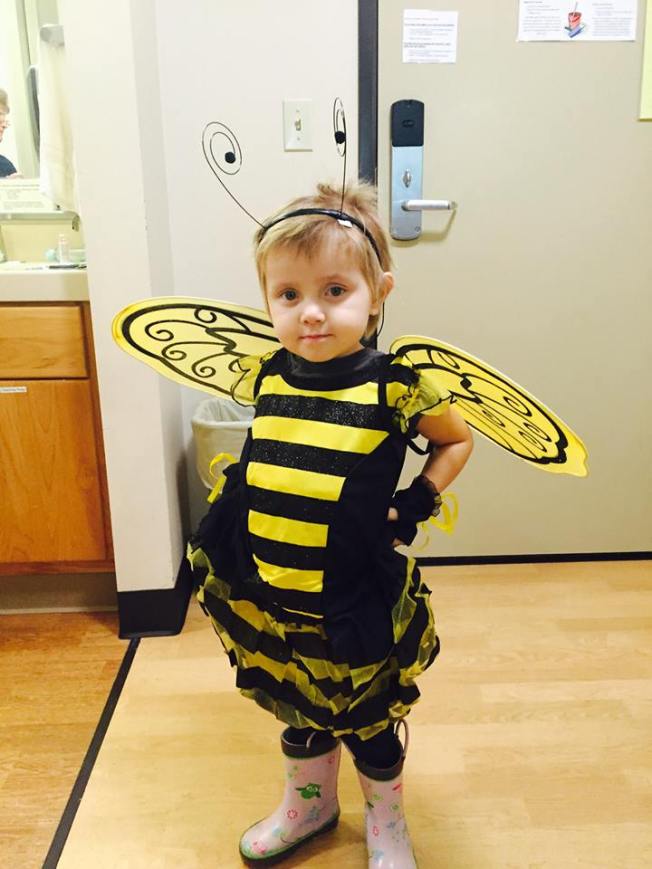 12193708_412756225585598_7663234577941874561_n